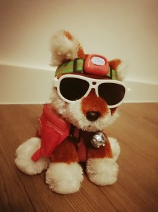 Scoutie, the foxy traveler